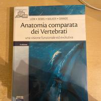 Libro Anatomia Comprata dei Vertebrati