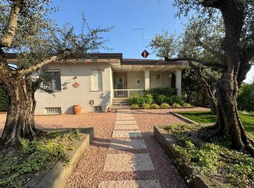 Nuova Villa con Parco e Piscina- Depandance a Lona