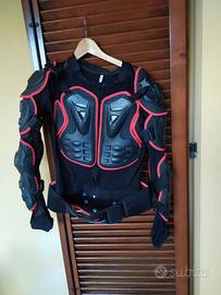 pettorina da downhill