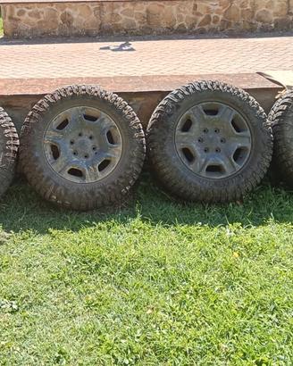 Set di ruote 4 stagioni – Cerchi originali Ford