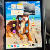 IPad 9th generazione 64gb