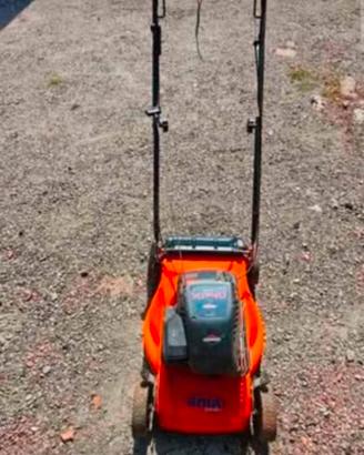 Taglia erba Briggs stratton