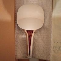 Doccetta Hansgrohe NUOVO