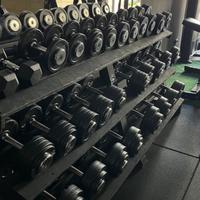 Manubri Linea Flex coppie 4kg-16kg