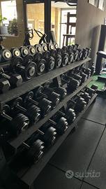 Manubri Linea Flex coppie 4kg-16kg