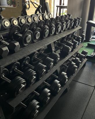 Manubri Linea Flex coppie 4kg-16kg