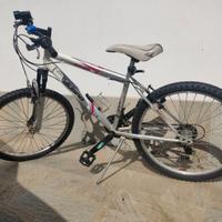 Bicicletta bambino ruote da 24