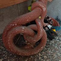 serpenti decorativi+ 2 teste 