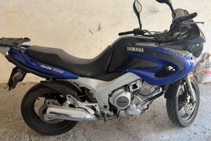 Tdm 850