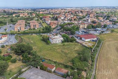 TER. AGRICOLO A ROMA