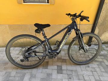 E -BIKE BERRIA BRAVO TG 29