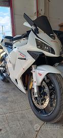 cbr 600 RR da vetrina 
