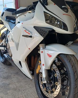 cbr 600 RR da vetrina 