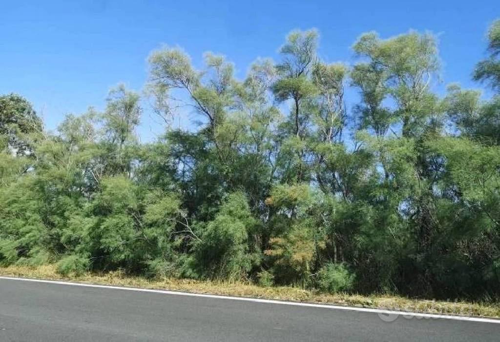 Immobile in asta di 89313 m² a Fiumicino - Vista 3