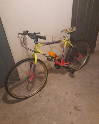 bicicletta 