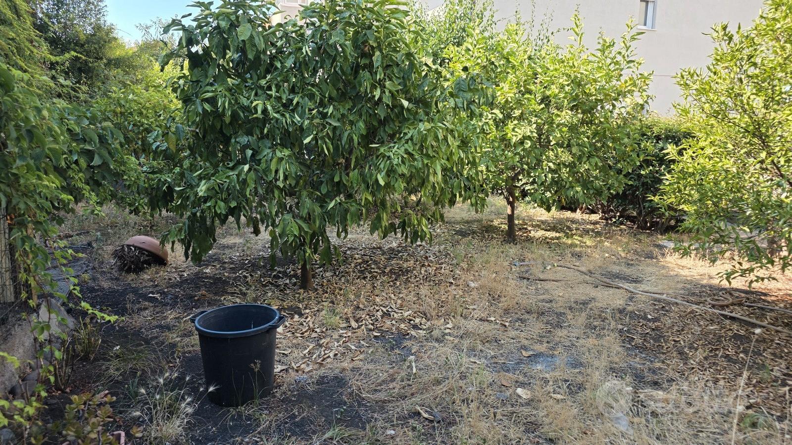 Appartamento – Giarre, Altarello - Vista 5