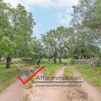 Terreno Edificabile Telti