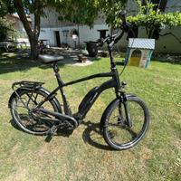 Bici elettrica Flyer Upstreet 3 XXXL