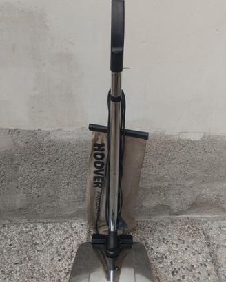 lucidatrice con spazzole di ricambio 