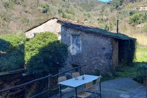 RUSTICO A NE