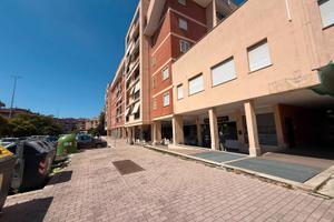 Torresina - cessione attività di centro scommesse