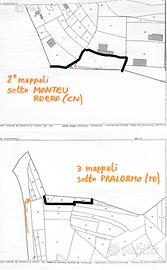 Terreno edificabile in Roero