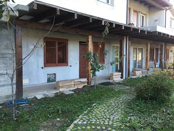 Casina casina