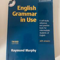 English Grammar in use
