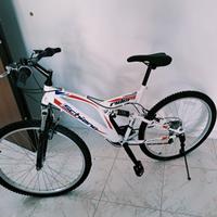 Bicicletta Schiano Rider