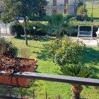 Addetto Giardiniere