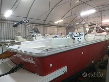 MARTIN 23.50. Motore fuoribordo Mercury 200 Hp