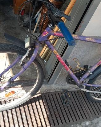  bicicletta in buone condizioni 