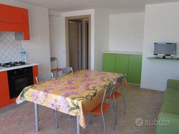 Vacanze in Ogliastra-Girasole