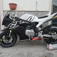 Mini GP OHVALE GP-0 160 4M Speed