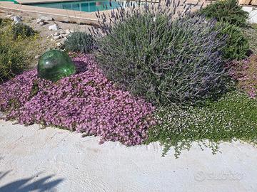 ART POOL VILLA SALENTO E MARE 