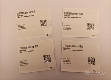 Reggia di Venaria Reale (TO) Biglietti collezione