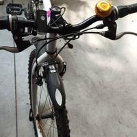 Bici da bambina del 24