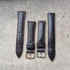 cinturini lucertola testa di moro