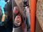 Immagine 3