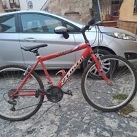 bicicletta 26