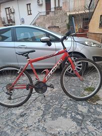 bicicletta 26