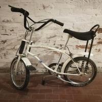 Bicicletta ragazzo Bianchi