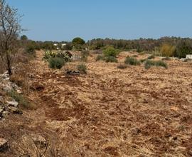 Terreno agricolo