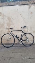 Alan record carbonio 