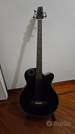 Basso acustico Boulder Creek EBR1-B5