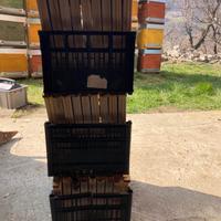 Nutritori a tasca per arnia apicoltura
