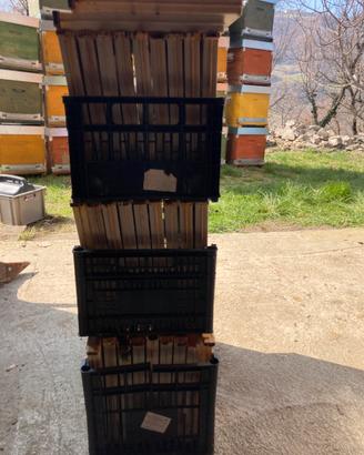 Nutritori a tasca per arnia apicoltura