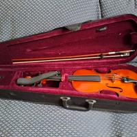 Violino