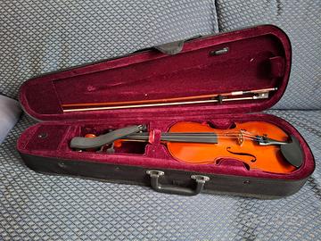 Violino
