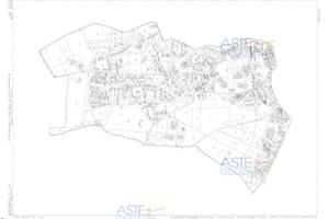 Terreno Agricolo Osimo [A4304262]